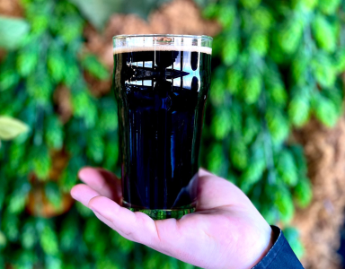 Close up of a Maine Stout in a glass held out by woman's hand 